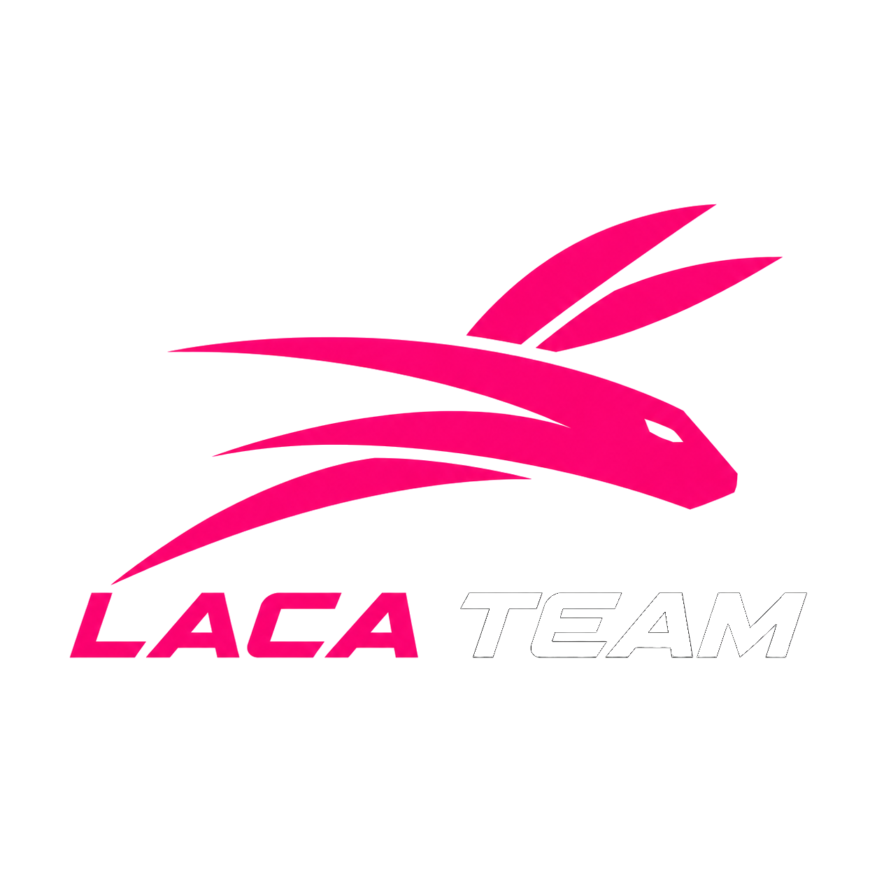 LACA TEAM